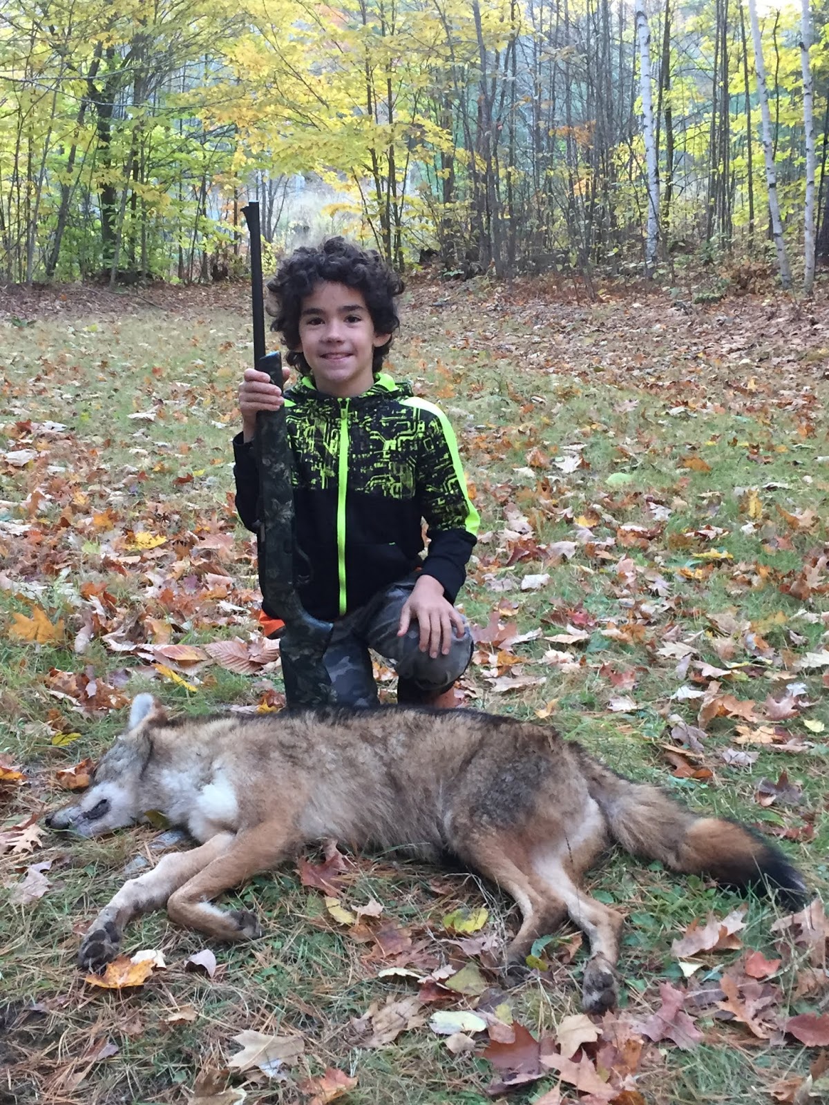 The Maine Outdoorsman: Coyote Night Hunt
