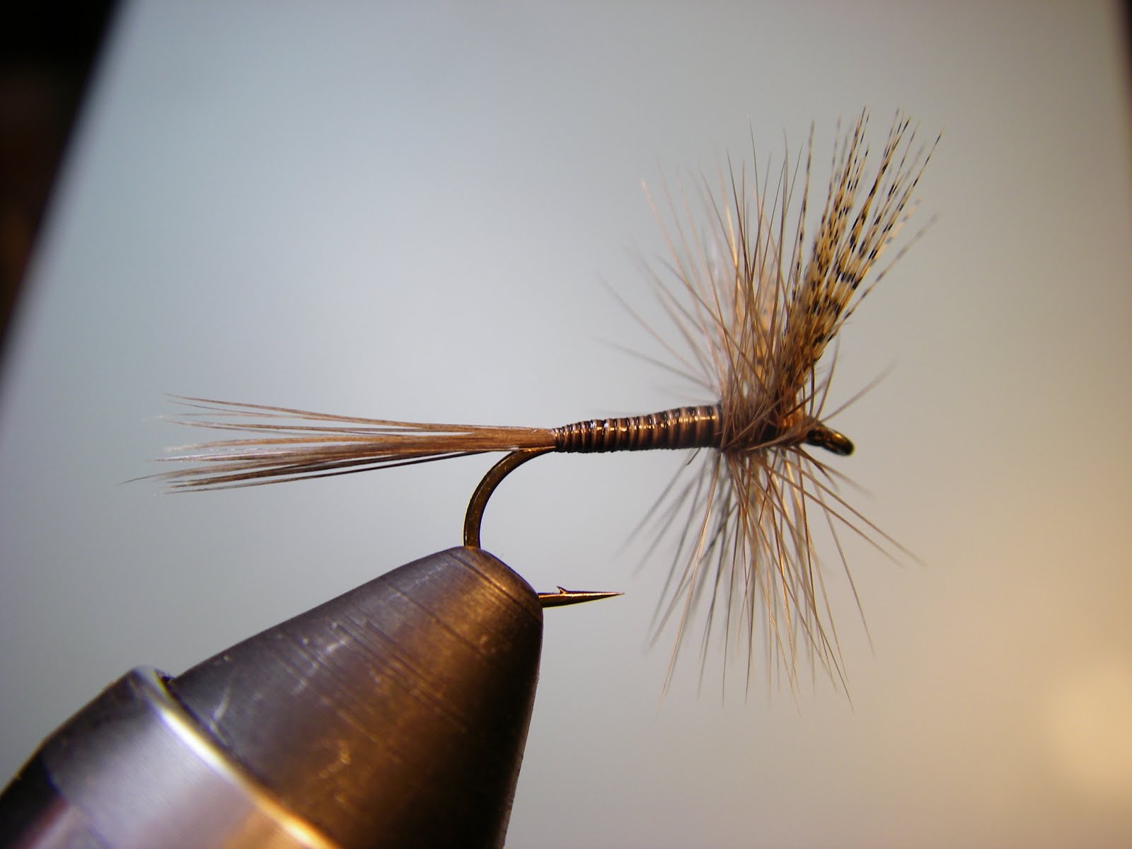 Burnt Drags Tying The Quill Gordon