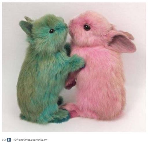 The Trend Spot: Dyed in the Wool