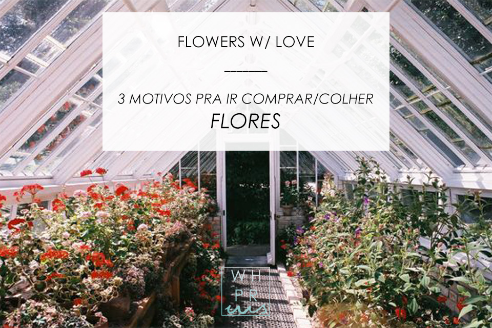 #blog #bemestar #wellness #flowers #lifestyle #estilodevida