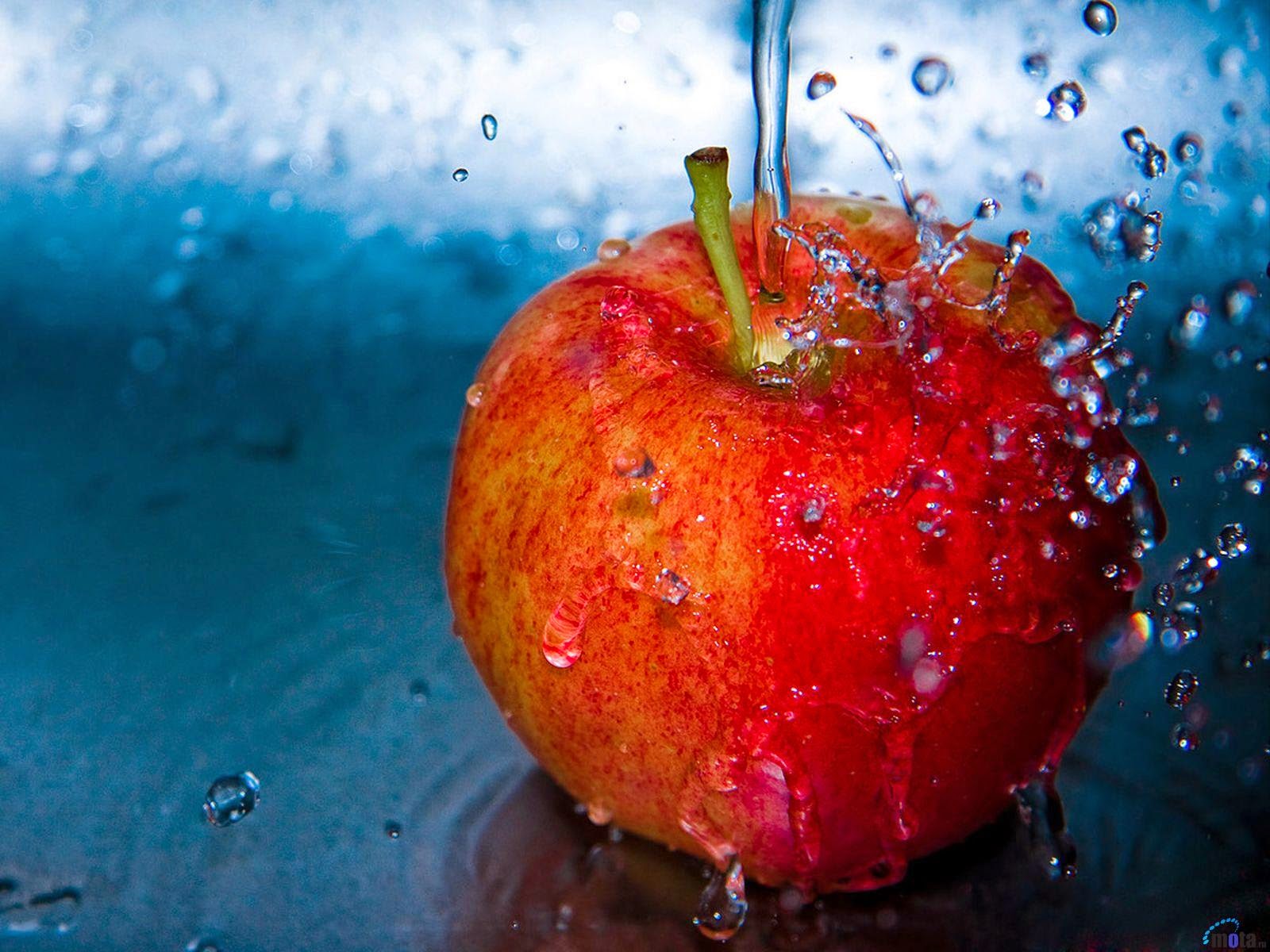 Red Apple Photography Inspiration ~ Pixekite