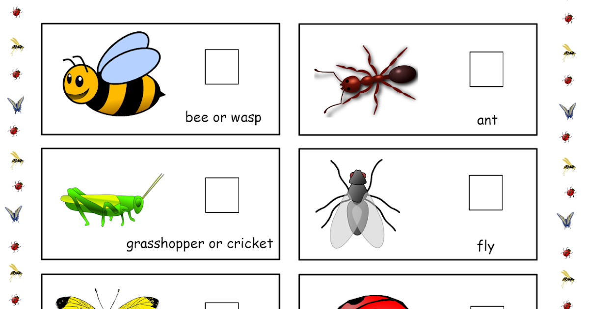 free-bug-scavenger-hunt-preschool-powol-packets