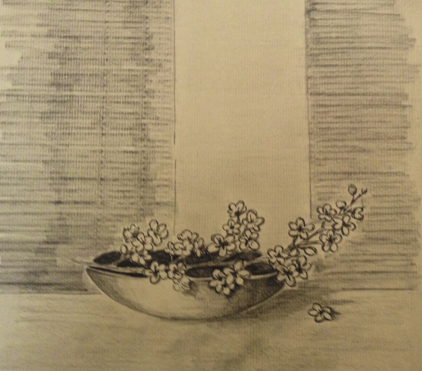 Still Life Using Line 10 – Still life | OCAdrawing1jfm