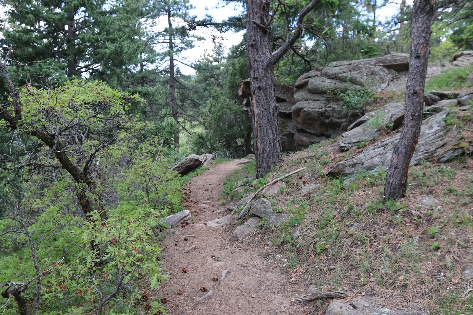 Mount Falcon Park (10)