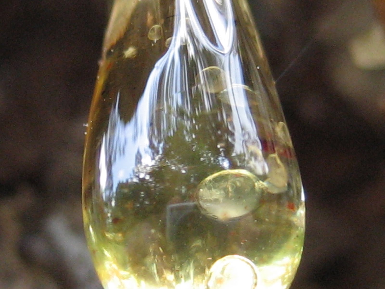 Close Up Pics of Everyday Things Pine Tree Sap