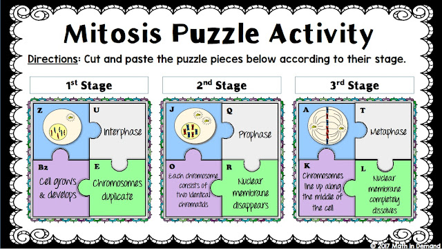 Mitosis Puzzle Activity in Google Slides