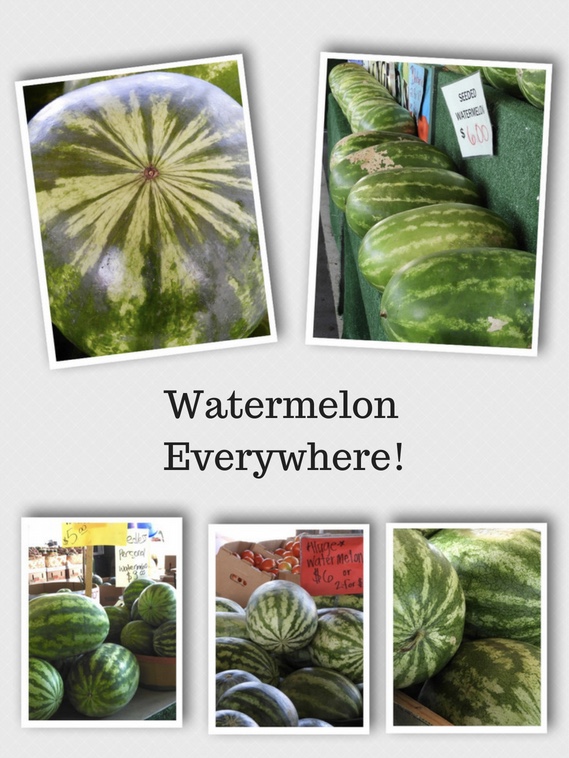 How Much does the Largest Watermelon Weigh at Watermelon Day at the