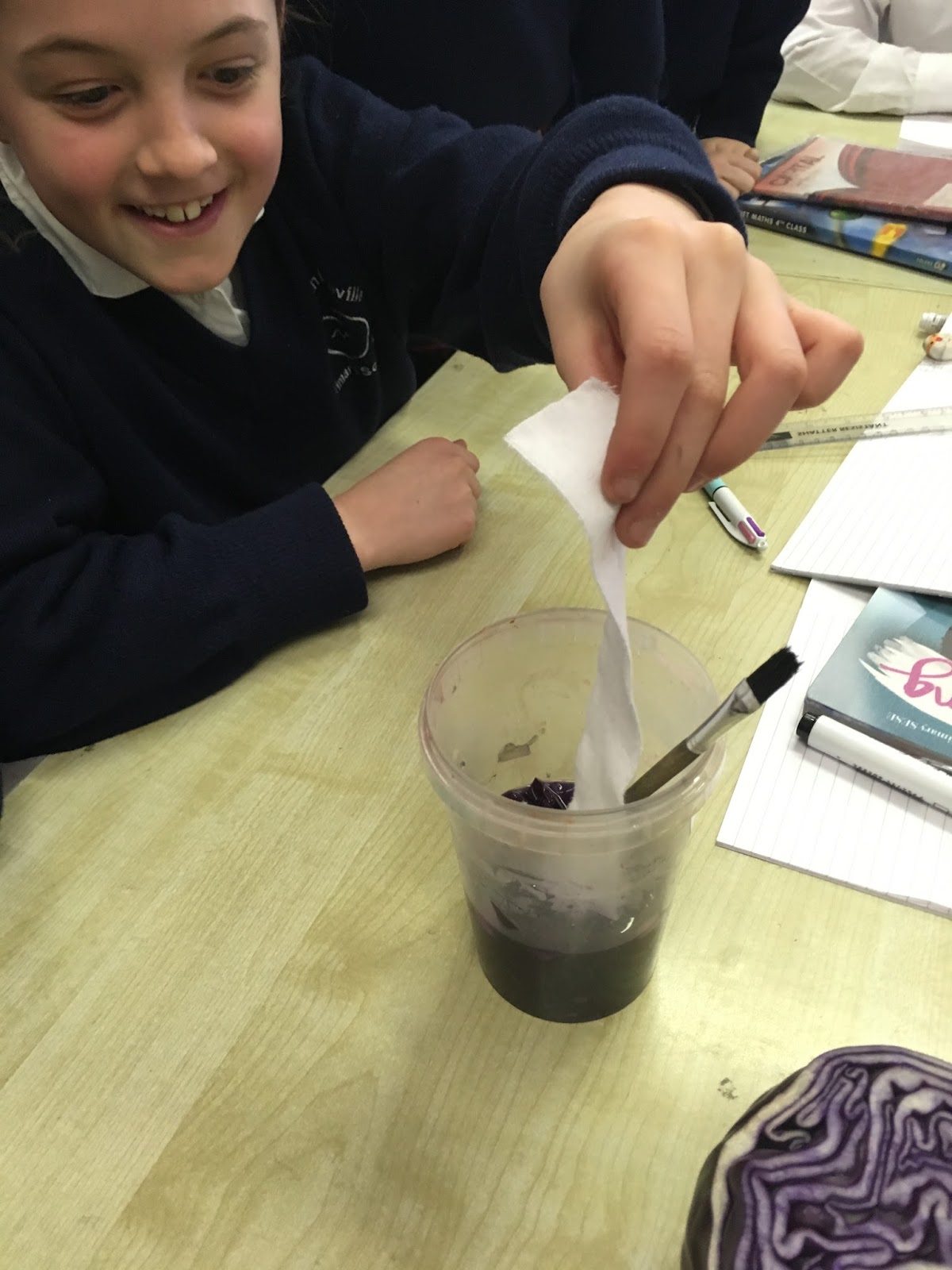 Discover Primary Science Award 4th class Showing acidity and
