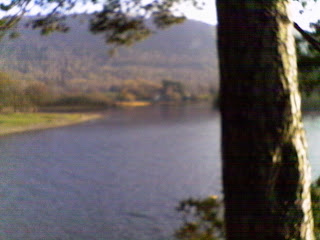 IMAG0039.JPG