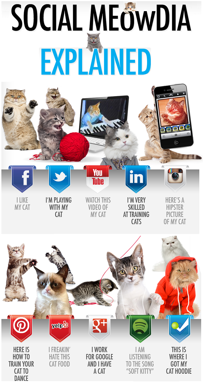Social Media Explained By Adorable and cute Cats [infographic]