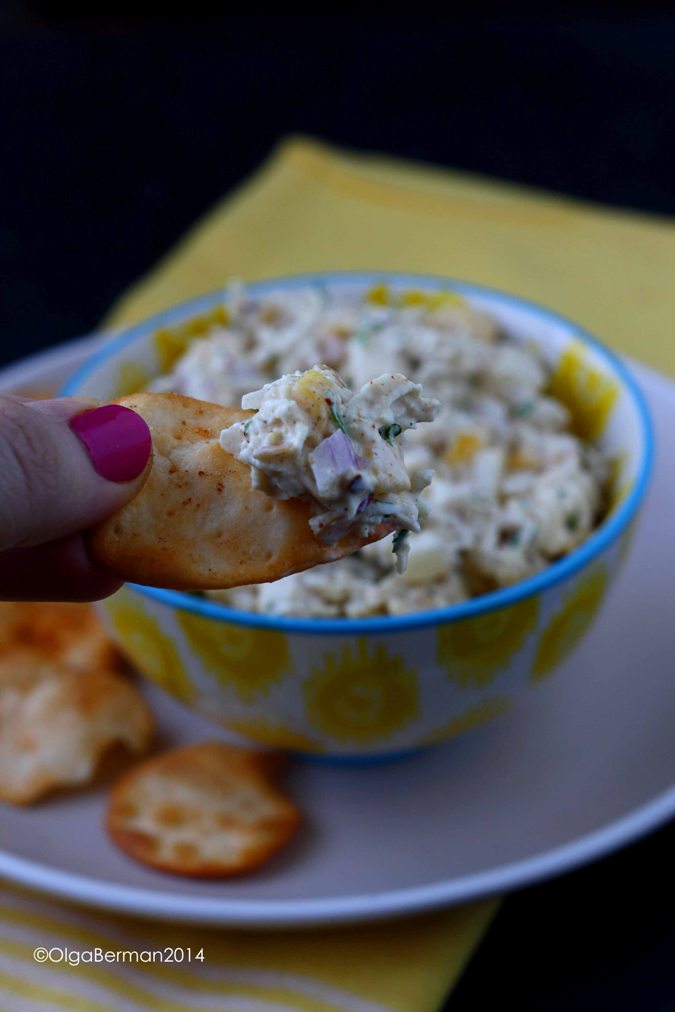 Mango & Tomato Chicken Dip with Mango, Red Curry Powder & Stonefire Naan Crisps