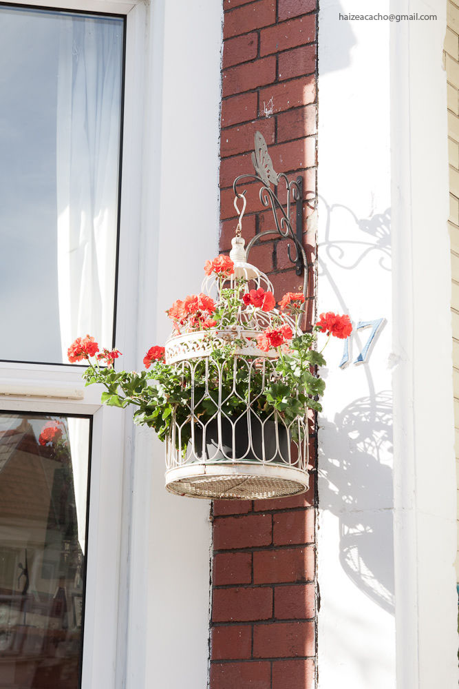 cool spaces in donosti DIY Flower Cage / Jaula de Flores