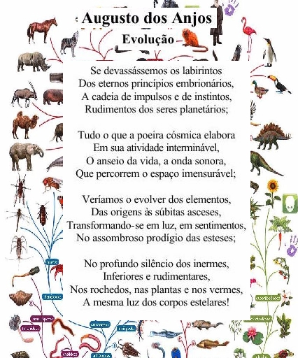 POEMAS DE PARNASMO DE ALEM TUMULO-014-EVOLUÇÃO,HOMO,INCÓGNITA 