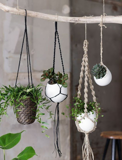 20 DIY Macrame Plant Hanger Patterns Do it yourself ideas and projects