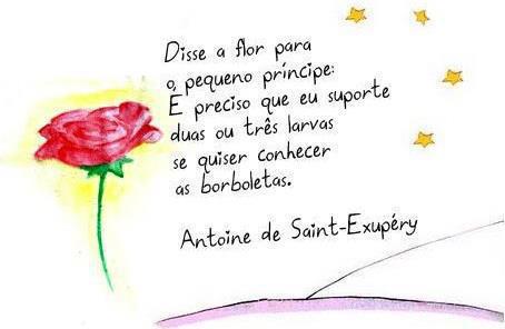 Resenha- O pequeno Príncipe- Antoine de Saint-Exupéry - Paloma Viricio