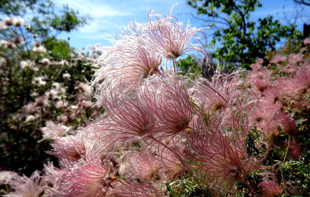 Joani David S Travels Tuesday May 14 2019 Hanging Gardens