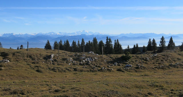 Mont-Tendre - Vue sur les Alpes et le Mont-Blanc au loin