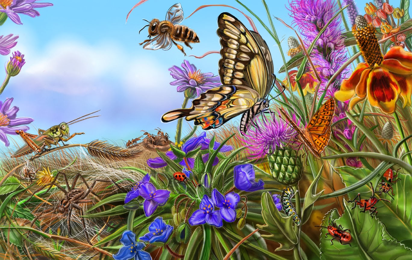 Жизнь насекомых весной. Пелевин в. "жизнь насекомых". Мир насекомых. Насекомые в картинах художников. Луг с насекомыми.