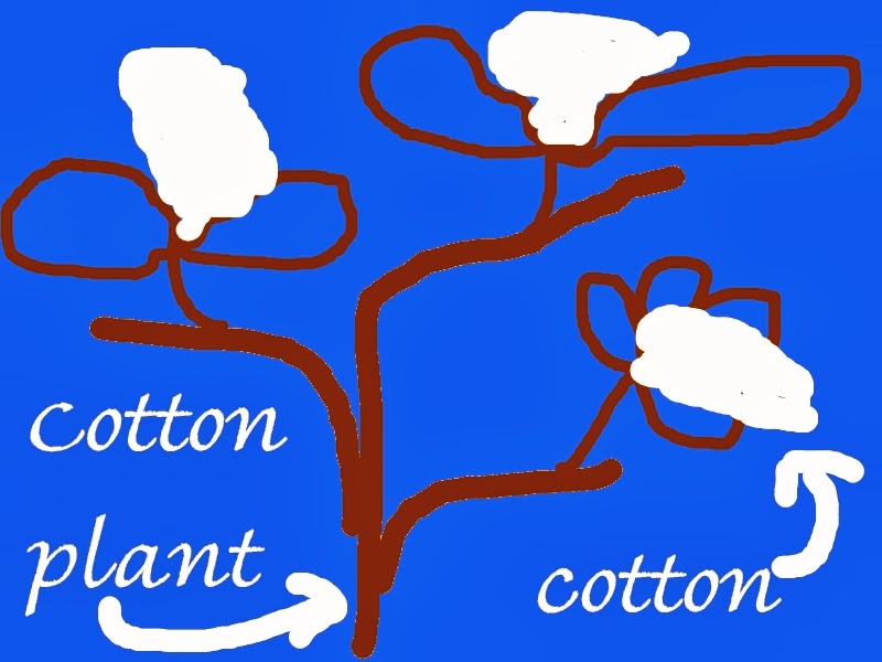 Forex cotton