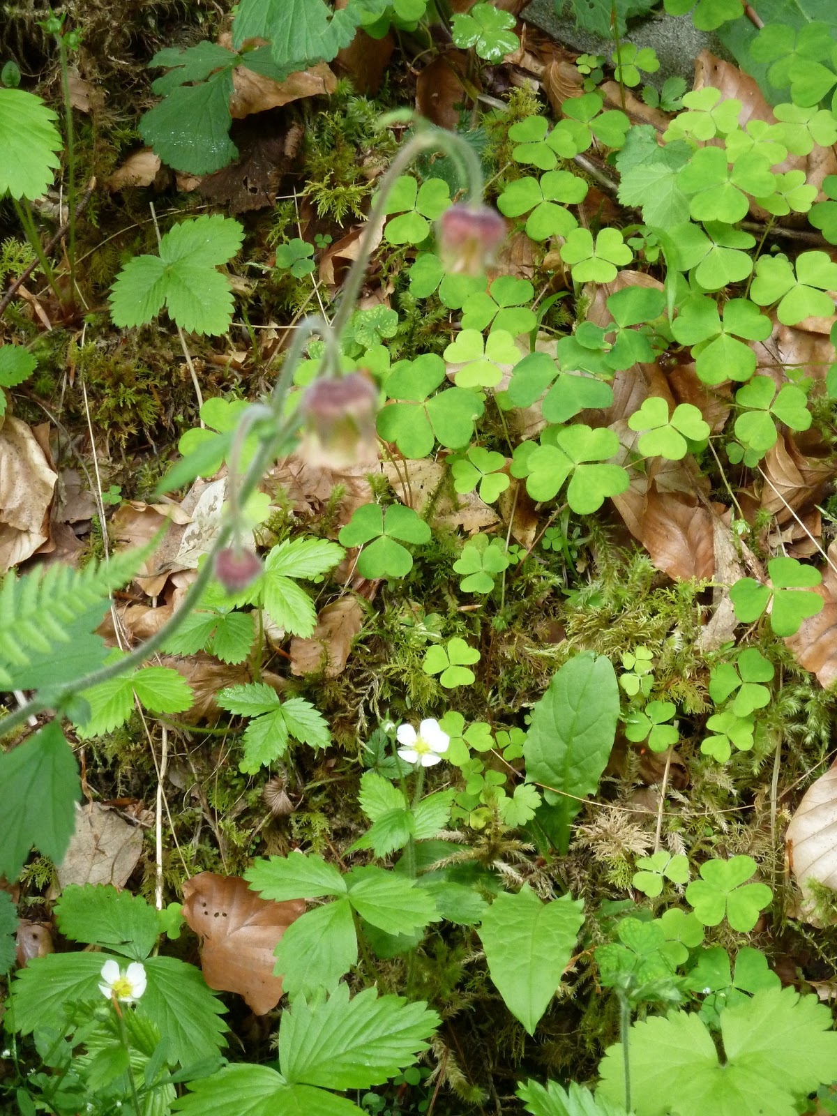 La Loc@: 11/08/13 - 18/08/13