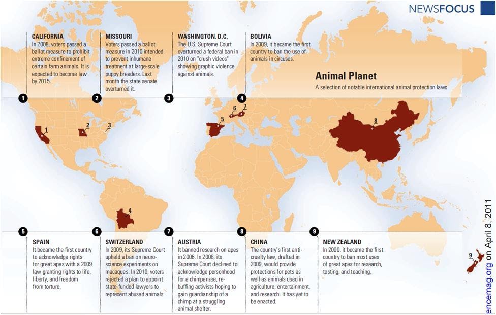 Запретить цирки. Где запрещены цирки с животными. В каких странах запрещены животные в цирке. В каких странах запрещены цирки. Animal abuse laws in different countries.