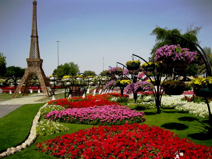 In Al Ain, UAE the world's largest hanging flower baskets Sandy