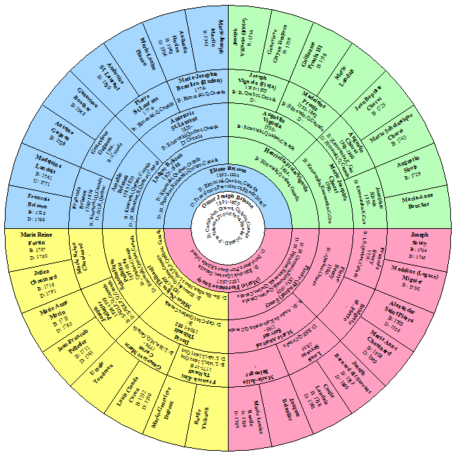 Cues & Clues for AQ AQ Creating Pedigree Charts