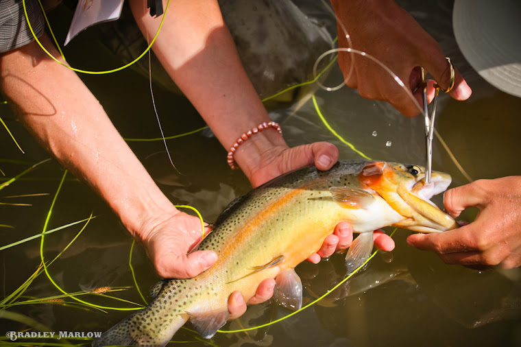 Dubois WY Fly Fishing Trips, Guided Fly Fishing Outfitters, Wind River