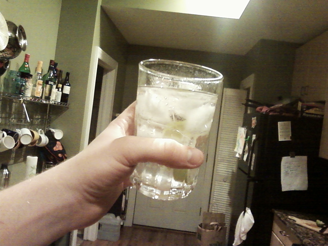 The Art of Pairing Video Games with Booze GTA IV The Ballad of Gay