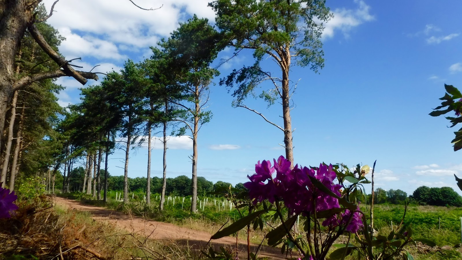 dawes ultra galaxy 853