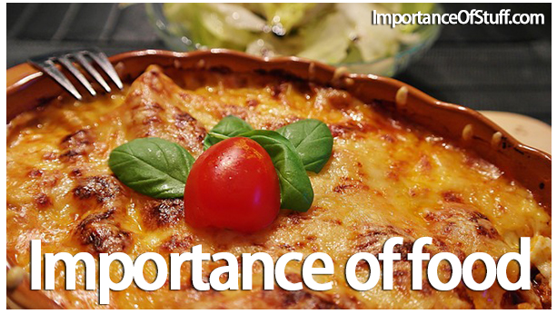 HEALTH TIPS: WHY IS FOOD IMPORTANT TO THE HUMAN BODY? – PRETORIA NEWS