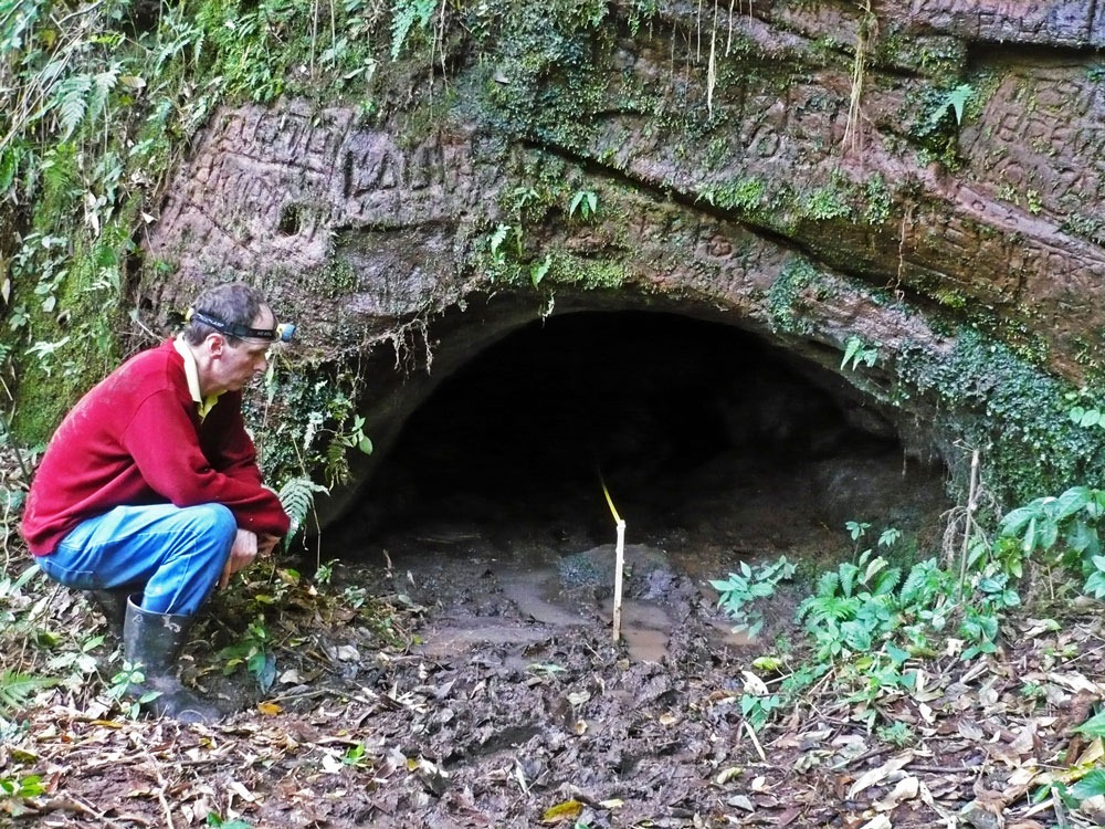 Spiritual Vigor These Massive Tunnels Were Dug By Giant Sloths