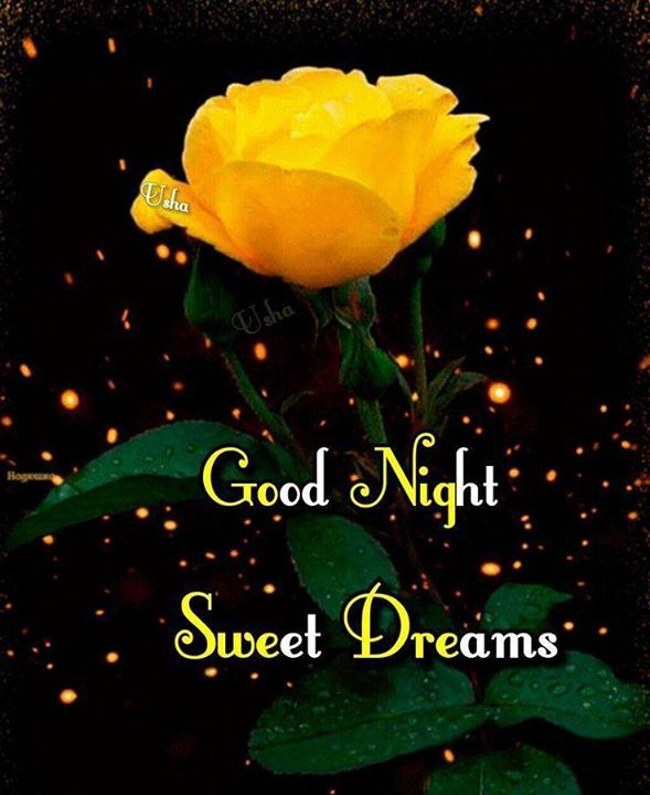 good morning sms with love