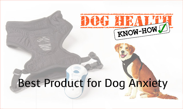 Best Product for Dog Anxiety