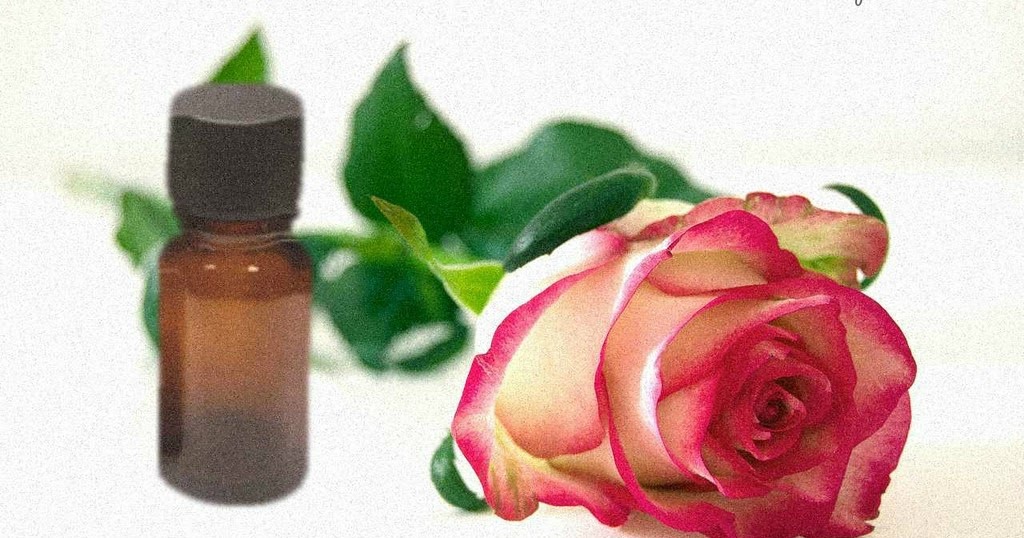 VADEMECUM EXTRACTO DE ROSA CENTIFOLIA / CENTIFOLIA ROSE EXTRACT