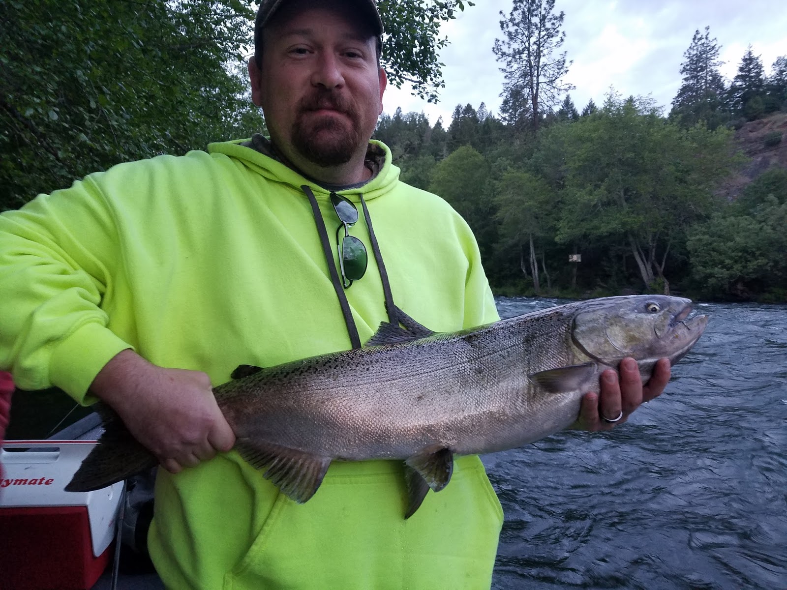 Guided Fishing on the Rogue and Umpqua Rivers' for Salmon and Steelhead in Southwest Oregon