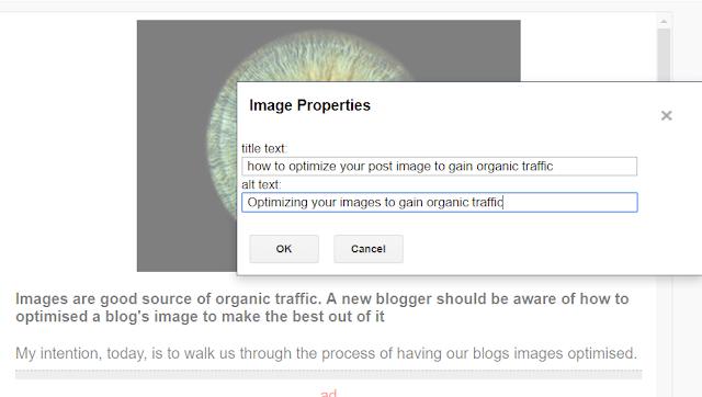 steps on how to edit the title and alt text of a blog post's or website's image