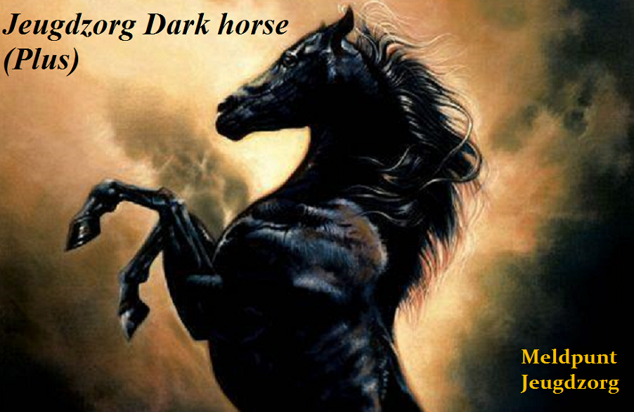 Jeugdzorg Dark horse (plus)