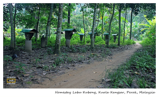 Homestay Labu Kubong, Perak, Malaysia | Ramble and Wander