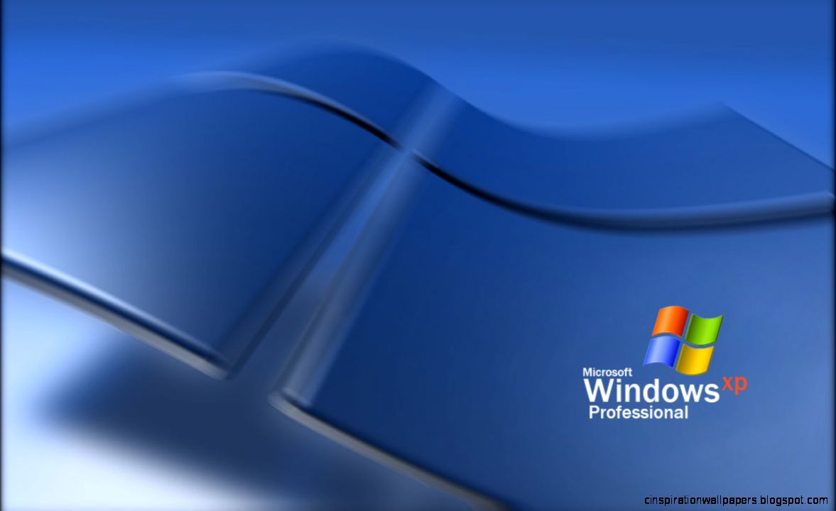 Related Searches For Windows Xp Professional Wallpapers Dog