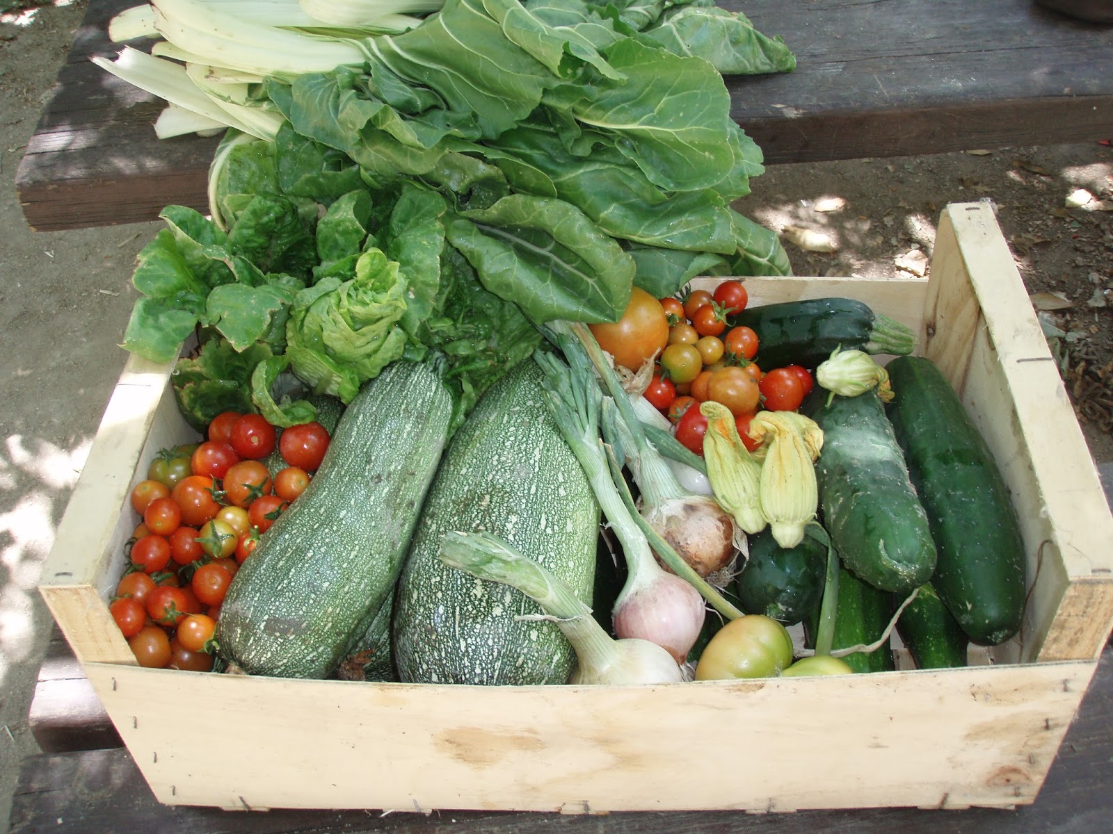 Huerta del Chorrillo Las Verduras de nuestra Huerta.