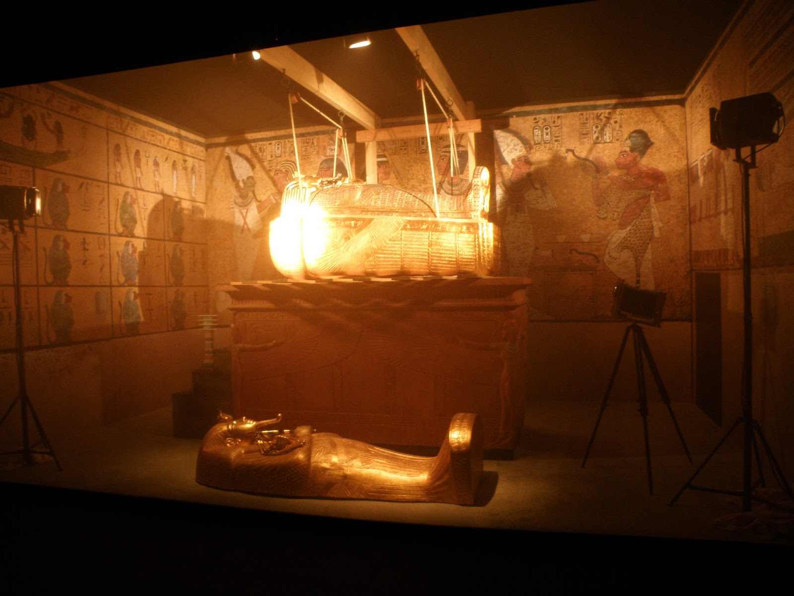 tomb king tut discovery tuts lynn author awesome