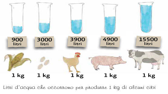 ASSOCIAZIONE ITALIANA DIFESA ANIMALI ED AMBIENTE: IL MAGGIOR SPRECO D