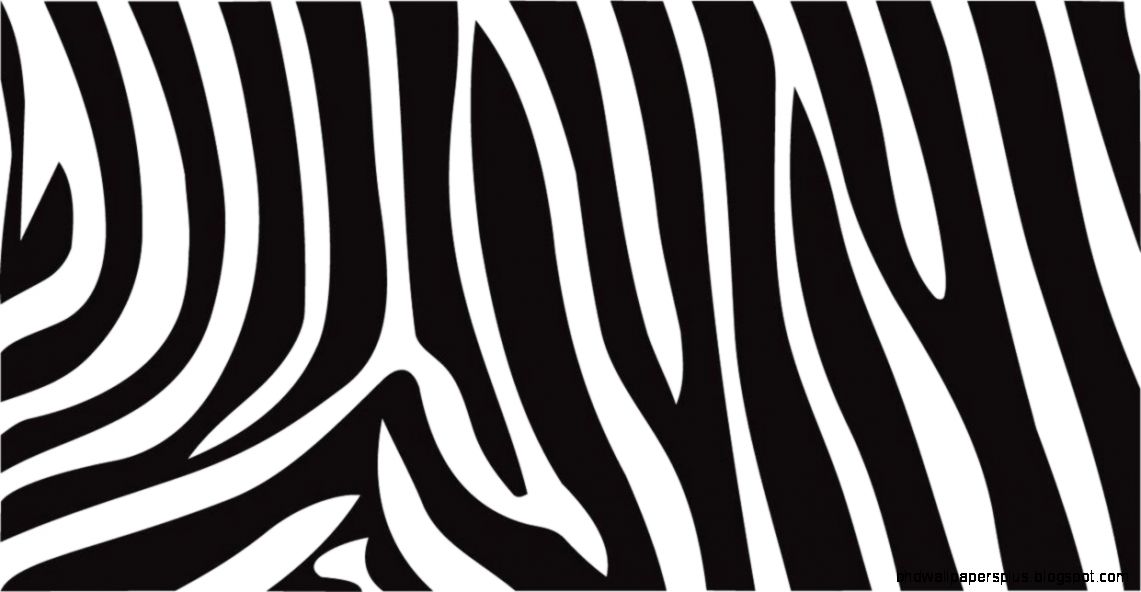 Zebra Print Wallpaper HD Wallpapers