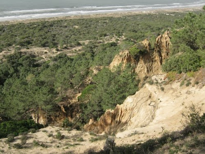 Mata dos Medos e Arriba Fóssil, Charneca de Caparica