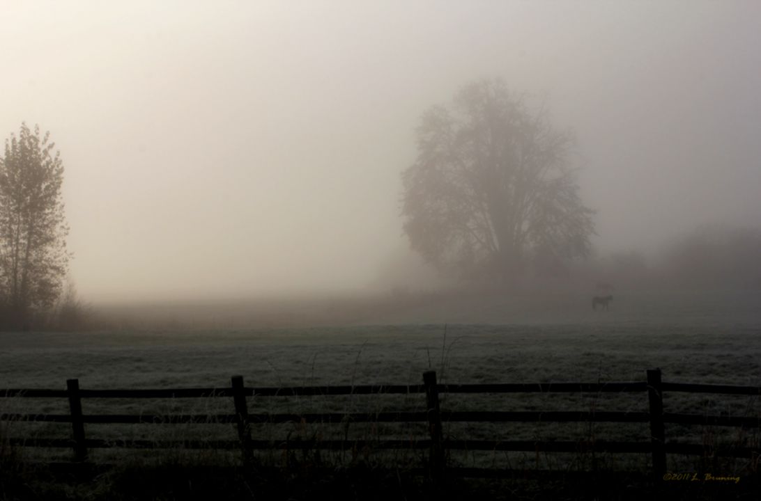 Photography Novemberr 2011