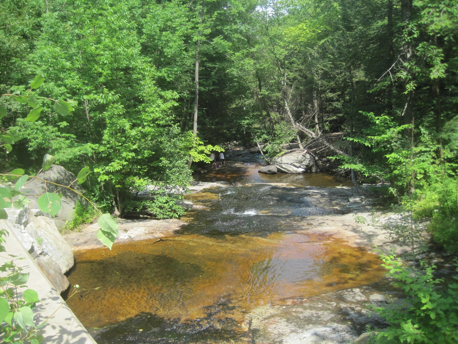Mt.Tom Billy Goat 2 Chapel Brook Reservation Ashfield Ma. Ashfield