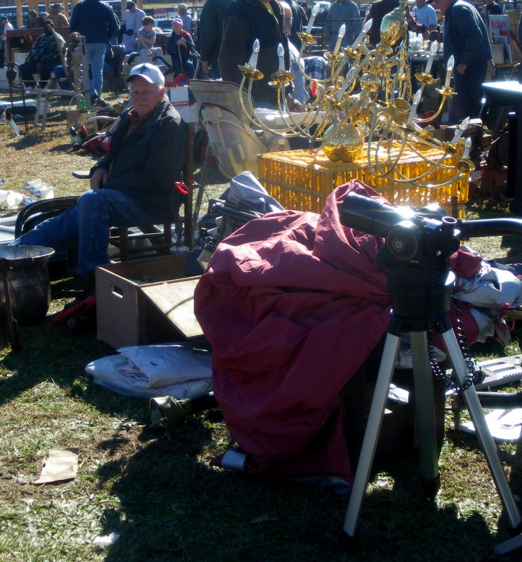 Pratie Place Dixie Draft Horse, Mule and Carriage Auction, Troutman NC