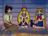 Ver Sailor Moon Sailor Moon R - Capítulo 62