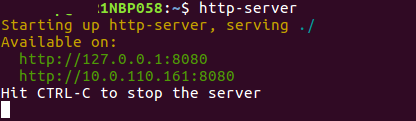 how to run node.js server